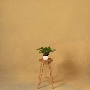 Desert Coffee Painted Canvas Backdrop (RN#22)