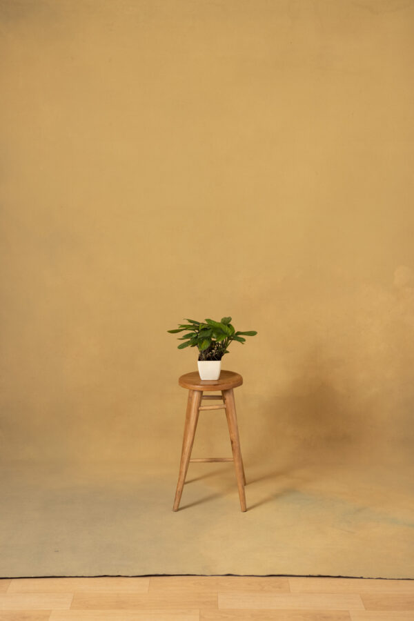 Desert Coffee Painted Canvas Backdrop (RN#22)