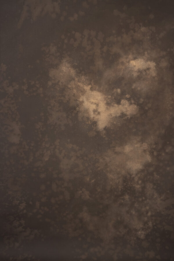 Desert Coffee Painted Canvas Backdrop (RN#22)