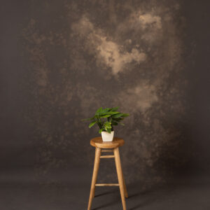 Desert Coffee Painted Canvas Backdrop (RN#22)