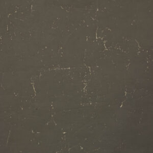 Pale Nickel and Liver Painted Canvas Backdrop (RN#46)