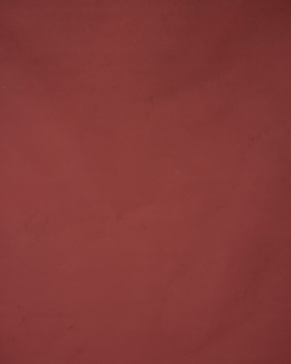 Potter Red Painted Canvas Backdrop (RN#53)