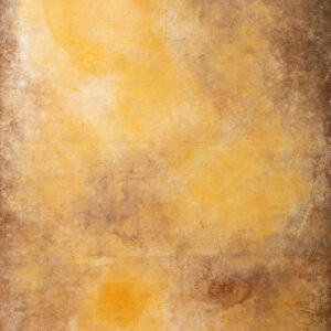 Apricot Painted Canvas Backdrop 7x12ft -RN#19(4)