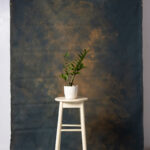 Birch Painted Canvas Backdrop RN#121-5X8(1)
