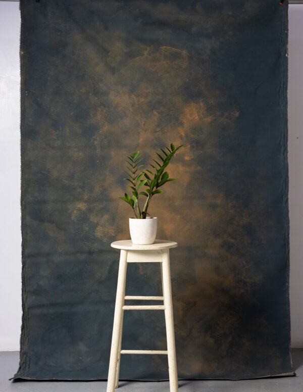 Birch Painted Canvas Backdrop RN#121-5X8(1)