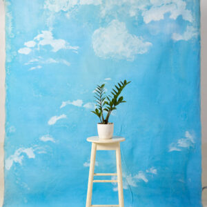 Blue Sky Painted Canvas Backdrop 8x10ft -RN#209(2)