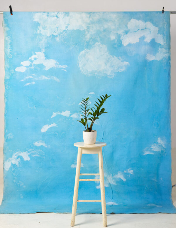 Blue Sky Painted Canvas Backdrop 8x10ft -RN#209(2)