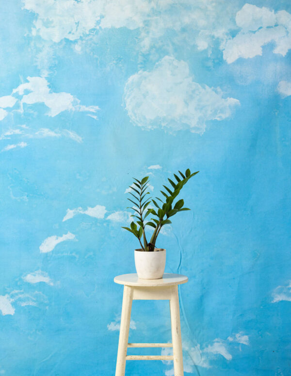 Blue Sky Painted Canvas Backdrop 8x10ft -RN#209(2) copy