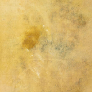 Camel Grunge + Lisbon Brown Painted Double-sided Canvas Backdrop 7'8x12ft -RN#41(4a)