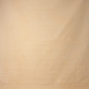 Cashmere Painted Canvas Backdrop RN#214-9X10(4)