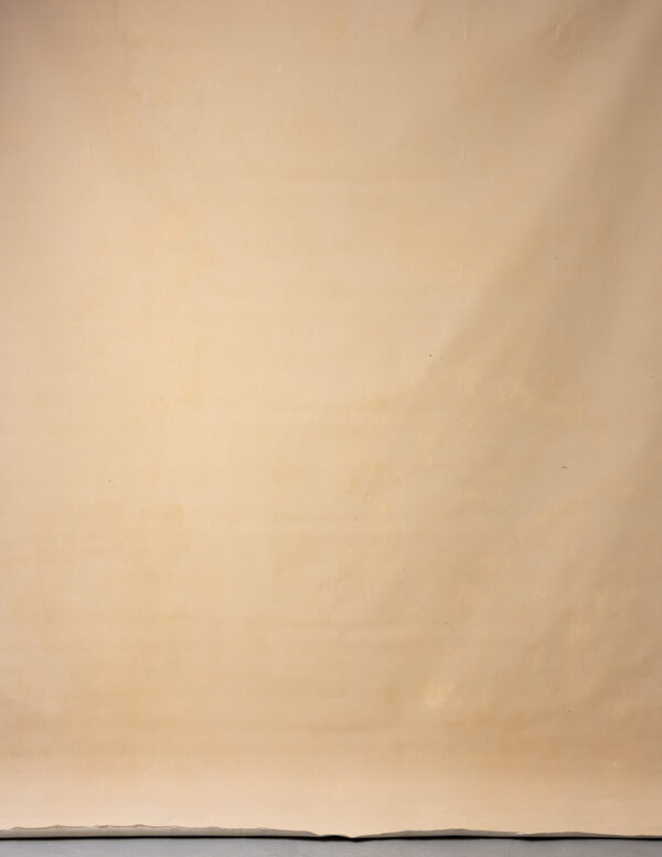 Cashmere Painted Canvas Backdrop RN#214-9X10(4)