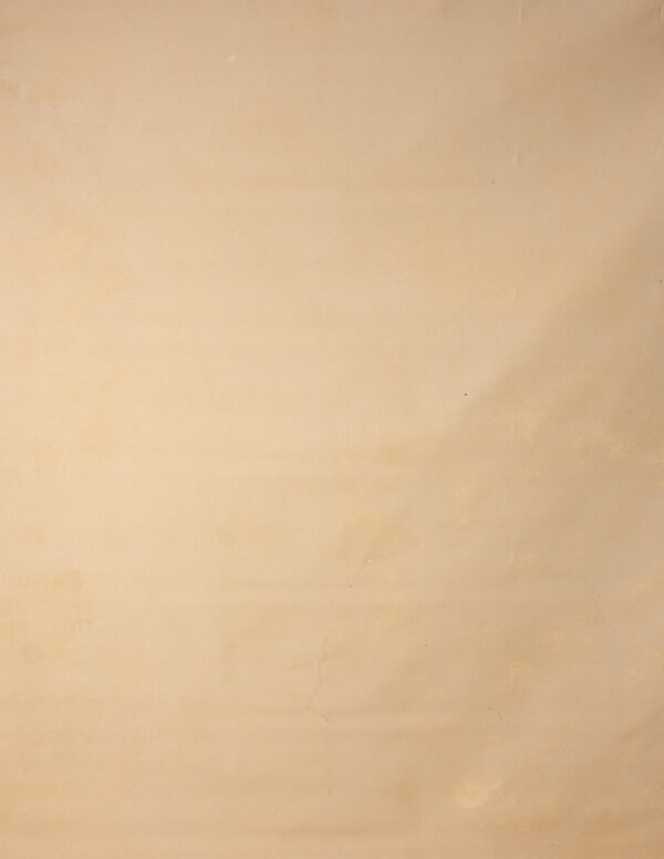 Cashmere Painted Canvas Backdrop RN#214-9X10(4) copy