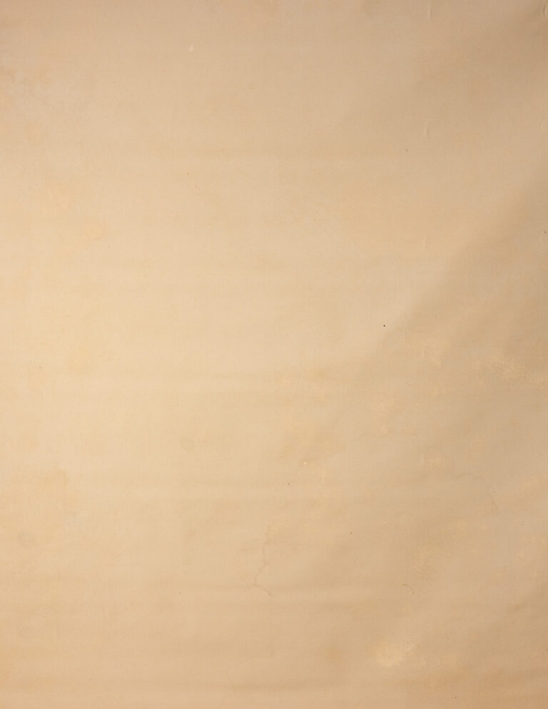 Cashmere Painted Canvas Backdrop RN#214-9X10(4) copy