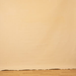 Cashmere Painted Canvas Backdrop (SL#214)