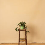 Cashmere Painted Canvas Backdrop (SL#214)