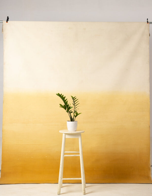 Chardonnay Gradient Painted Canvas Backdrop 8x14ft -RN#75(1)