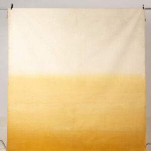 Chardonnay Gradient Painted Canvas Backdrop 8x14ft -RN#75(3)