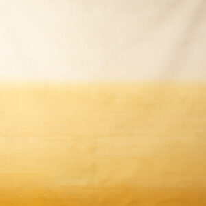 Chardonnay Gradient Painted Canvas Backdrop 8x14ft -RN#75(4)