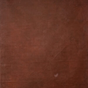 Cherrywood Painted Canvas Backdrop 5'5x9ft -RN#56(4)