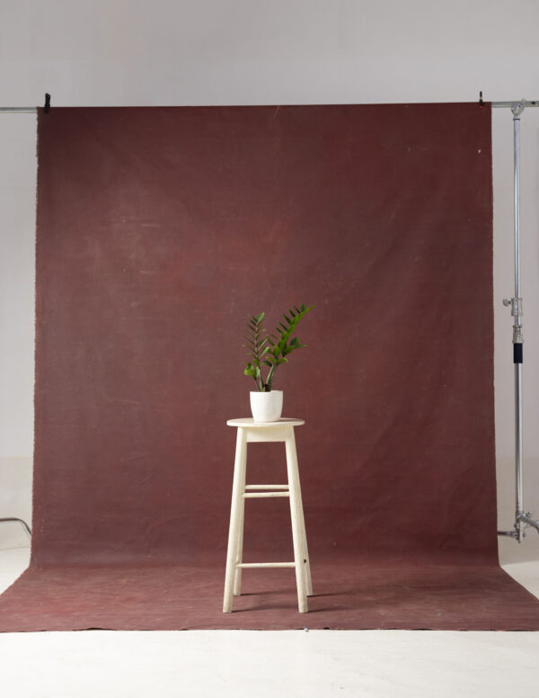 Cocoa Bean Painted Canvas Backdrop 8x14ft -RN#38 (1)