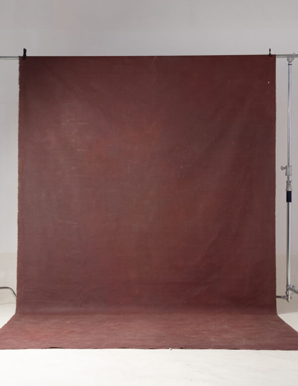 Cocoa Bean Painted Canvas Backdrop 8x14ft -RN#38 (2)