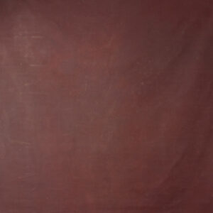 Cocoa Bean Painted Canvas Backdrop 8x14ft -RN#38 (4)