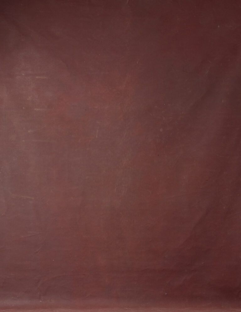 Cocoa Bean Painted Canvas Backdrop 8x14ft -RN#38 (4)