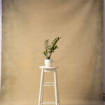 Coffee Cream + Luxor Gold Painted Double-sided Canvas Backdrop 8x9ft -RN#59(1a)