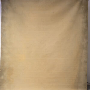 Coffee Cream + Luxor Gold Painted Double-sided Canvas Backdrop 8x9ft -RN#59(3a)