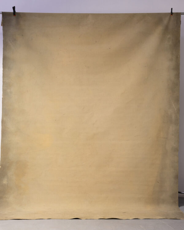 Coffee Cream + Luxor Gold Painted Double-sided Canvas Backdrop 8x9ft -RN#59(3a)