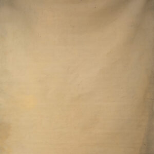 Coffee Cream + Luxor Gold Painted Double-sided Canvas Backdrop 8x9ft -RN#59(4a)