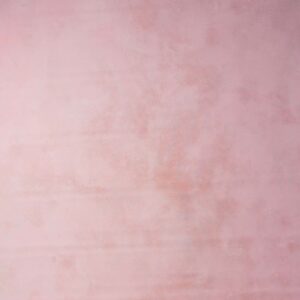 Coral Pink Painted Canvas Backdrop 7x10ft -RN#210(4)