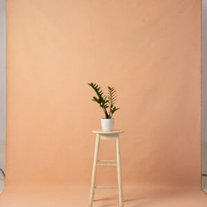 Desert Orange Painted Canvas Backdrop RN#26-8X14(2)