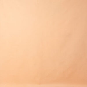 Desert Orange Painted Canvas Backdrop RN#26-8X14(4)