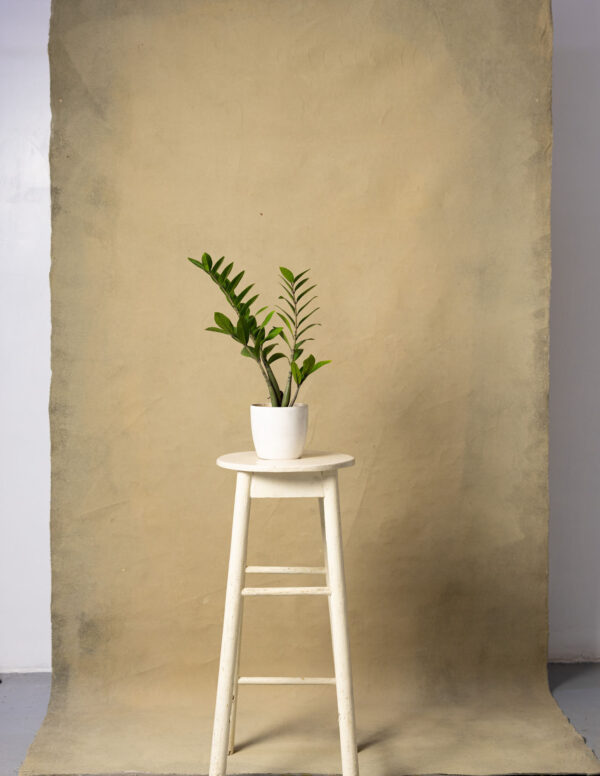 Driftwood Painted Canvas Backdrop RN#126-5X10(1)