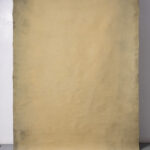 Driftwood Painted Canvas Backdrop RN#126-5X10(3)