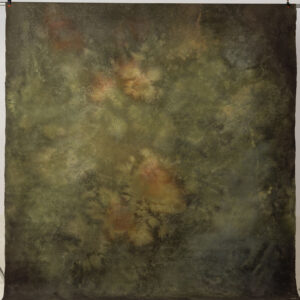 Forest Brown Painted Canvas Backdrop RN#142-9X10(2)