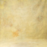 Harvest Gold Painted Canvas Backdrop RN#74-9X14(3)