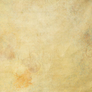Harvest Gold Painted Canvas Backdrop RN#74-9X14(4)