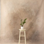 Light Taupe Painted Canvas Backdrop 8x10ft -RN#158(1)