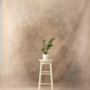 Light Taupe Painted Canvas Backdrop 8x10ft -RN#158(1)