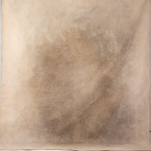 Light Taupe Painted Canvas Backdrop 8x10ft -RN#158(3)