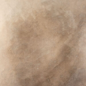 Light Taupe Painted Canvas Backdrop 8x10ft -RN#158(4)
