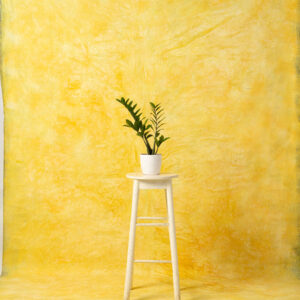 Mac and Cheese Painted Canvas Backdrop RN#45-7'7X11'7(2)
