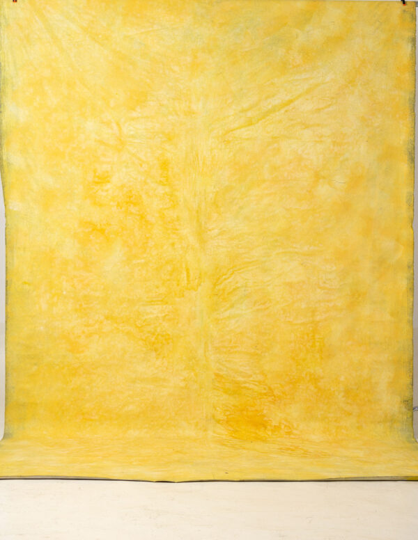 Mac and Cheese Painted Canvas Backdrop RN#45-7'7X11'7(3)