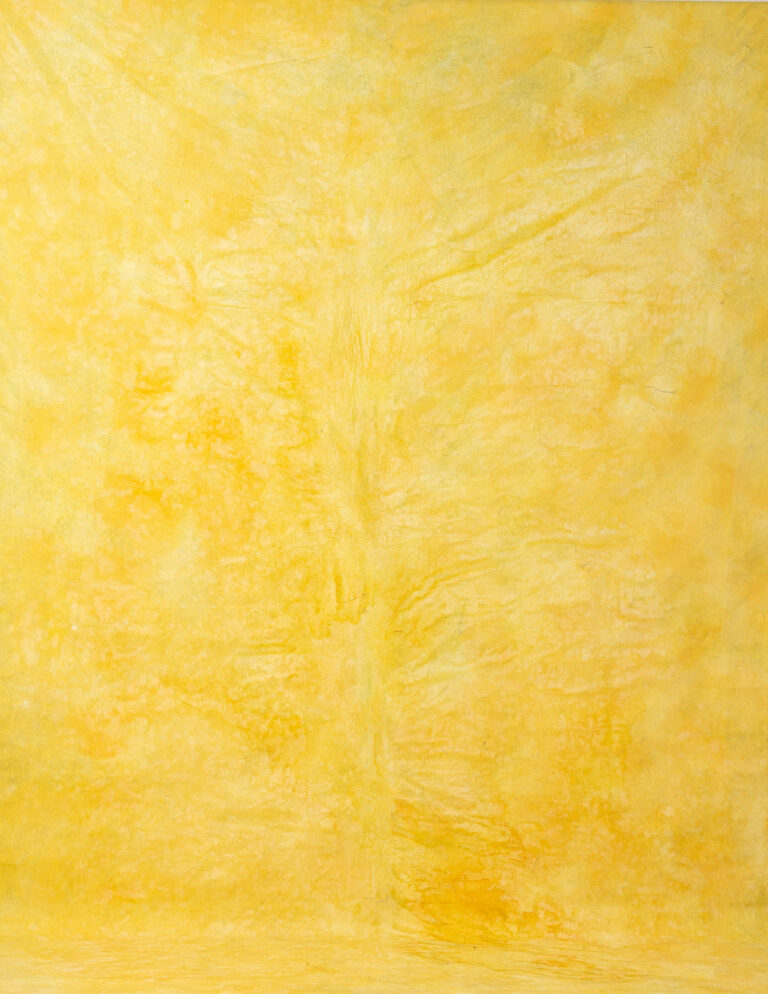 Mac and Cheese Painted Canvas Backdrop RN#45-7'7X11'7(4)