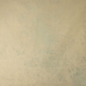 Muesli Painted Canvas Backdrop 9x10ft -RN#212(3)