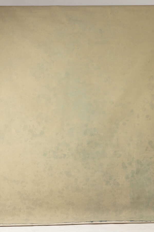 Muesli Painted Canvas Backdrop 9x10ft -RN#212(3)