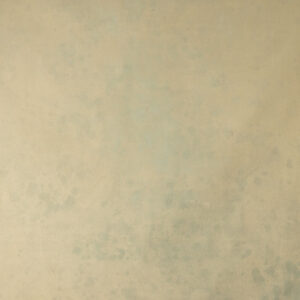 Muesli Painted Canvas Backdrop 9x10ft -RN#212(4)