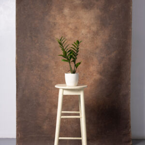 Otter Brown Painted Canvas Backdrop 4'8x8ft -RN#60(1)